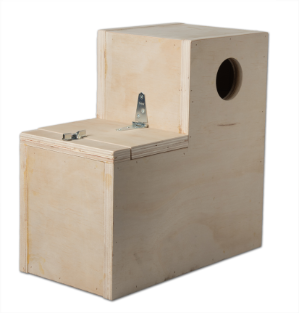 Boot Box Medium 