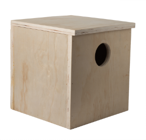 Cube Nest Box 10" 